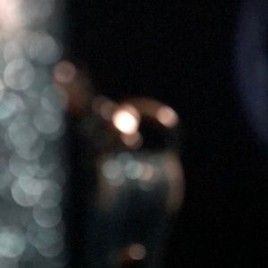 Meet your Posher, Ann